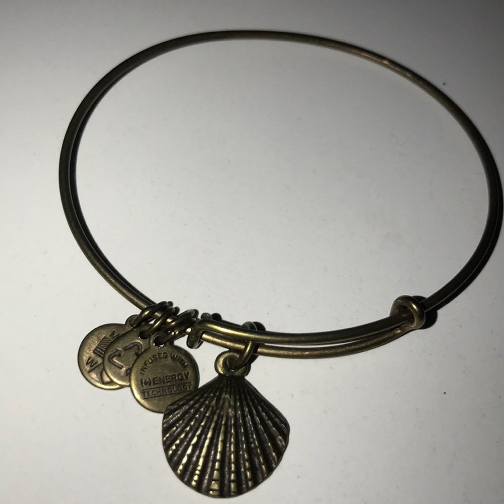 Alex and Ani charm bracelet